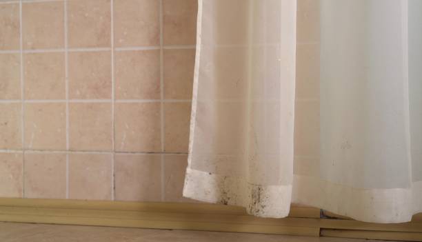 Best Air Quality Testing for Mold Spores  in Luverne, MN