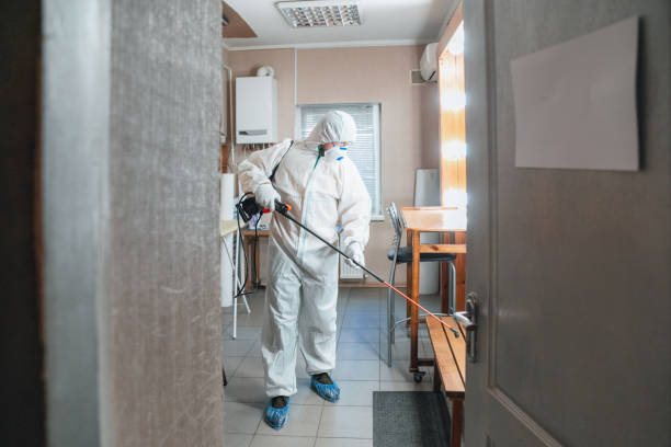 Best Crawl Space Mold Remediation  in Luverne, MN