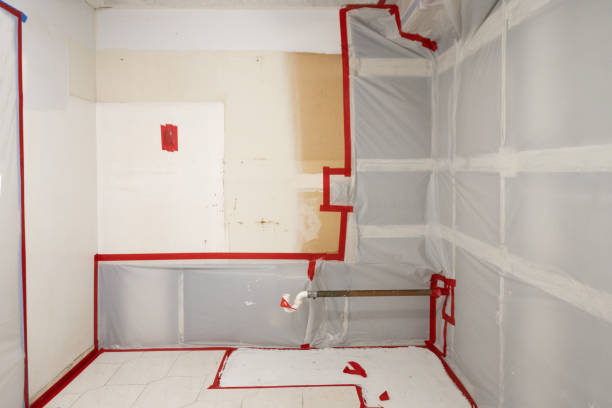 Best Mold Prevention Services  in Luverne, MN
