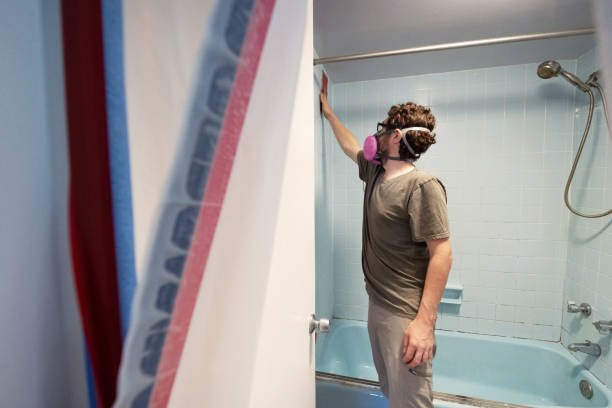 Best Residential Mold Inspection & Testing  in Luverne, MN