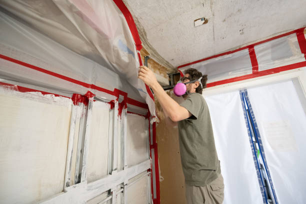 Best Mold-Related Health Consultation  in Luverne, MN