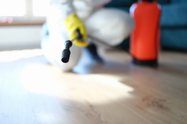 Best Mold Damage Restoration  in Luverne, MN