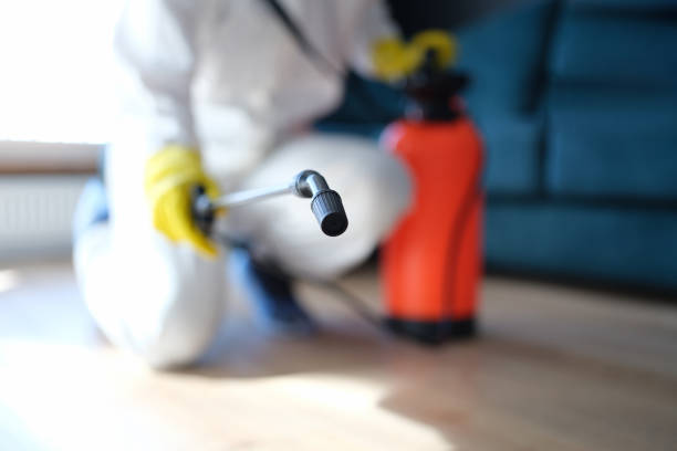 Best Forensic Mold Investigation  in Luverne, MN