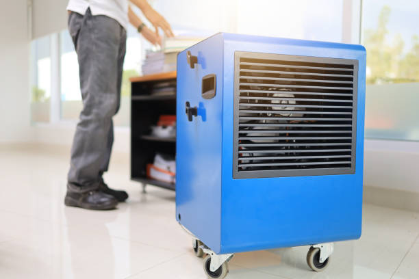 Best Commercial Mold Inspection  in Luverne, MN